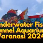 Underwater Fish Tunnel Aquarium Varanasi 2024