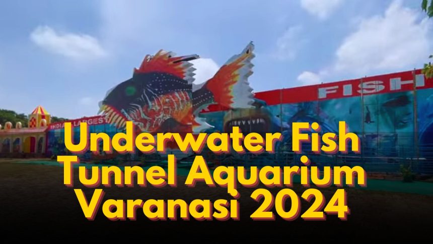 Underwater Fish Tunnel Aquarium Varanasi 2024