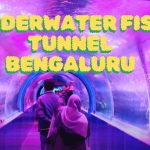 Underwater Fish Tunnel Bengaluru 2024